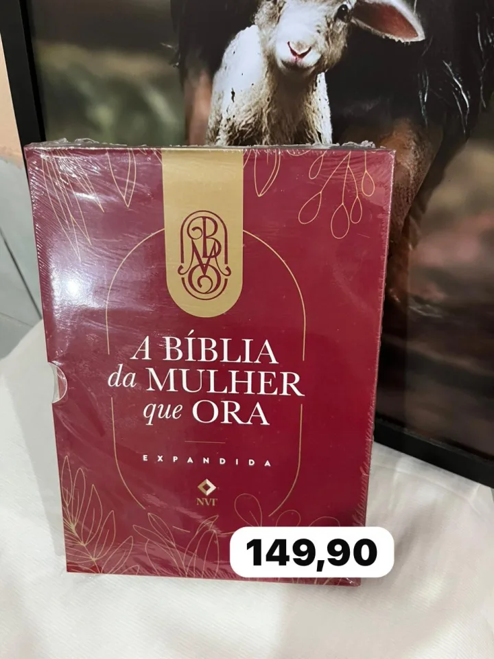 A bíblia da mulher que ora.