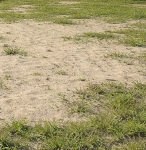 TERRENO NO PARQUE SÃO PEDRO