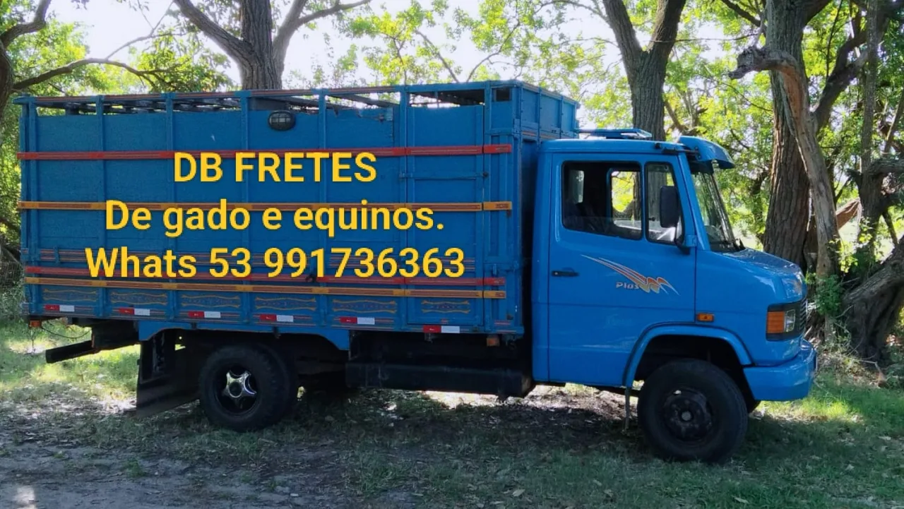 FRETE BOVINOS/EQUINOS